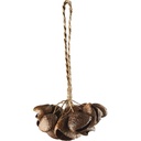 Pedal De Efectos Sonoros Sonic Energy Spgrs