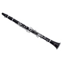 CLARINETE ROY BENSON CB-517