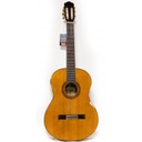 Guitarra Ronda Pc-110