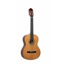 Pack Guitarra Ashton Molina Spcg-44Br