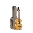 Guitarra Alhambra Green Sustain Flamenca