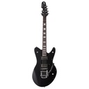 GUITARRA ELÉCTRICA SCHECTER ROBERT SMITH ULTRACURE BK