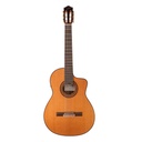 Guitarra Clásica Jose Torres Jtc-100Ce