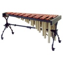 MARIMBA ADAMS SOLOIST