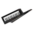 TECLADO KEYTAR KORG RK-100S 2 BK