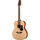 GUITARRA ACUSTICA WALDEN WAO350W ORCHESTRA STANDARD 300